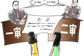 盘锦债务清欠服务